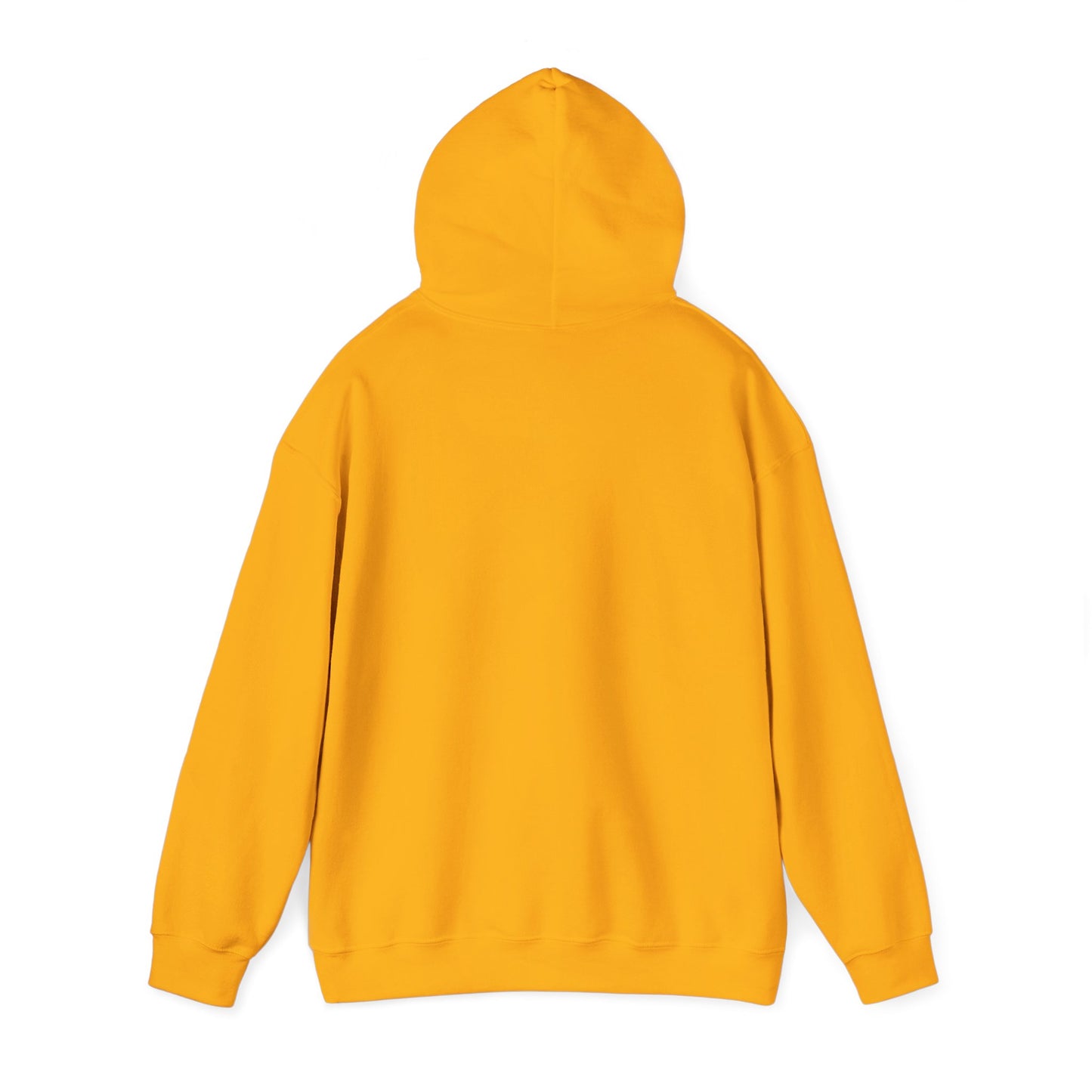 Men's Live Your Truth Hooded Sweatshirt