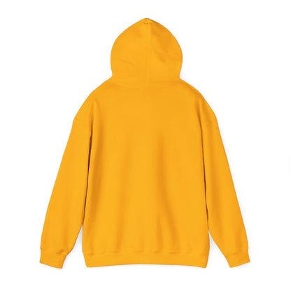 Men's Live Your Truth Hooded Sweatshirt
