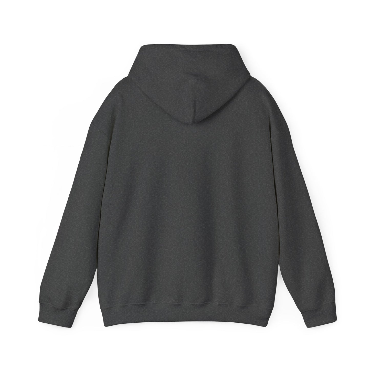 Men's Live Your Truth Hooded Sweatshirt
