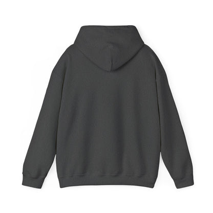Men's Live Your Truth Hooded Sweatshirt