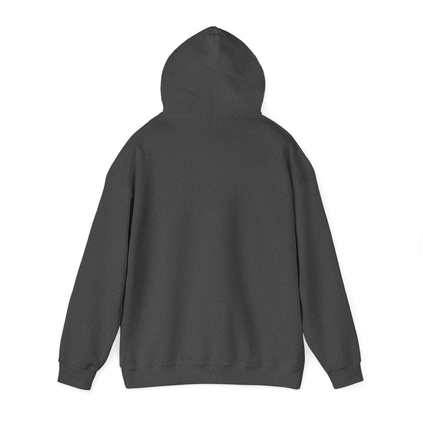 Men's Live Your Truth Hooded Sweatshirt