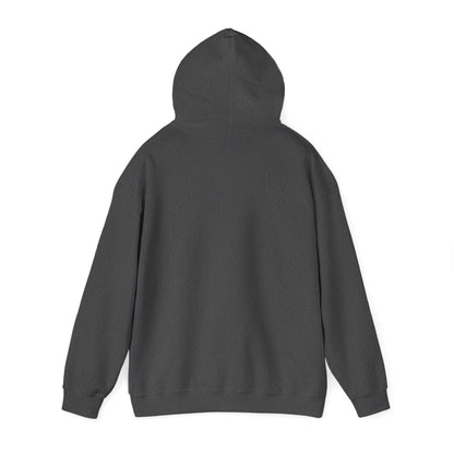 Men's Live Your Truth Hooded Sweatshirt