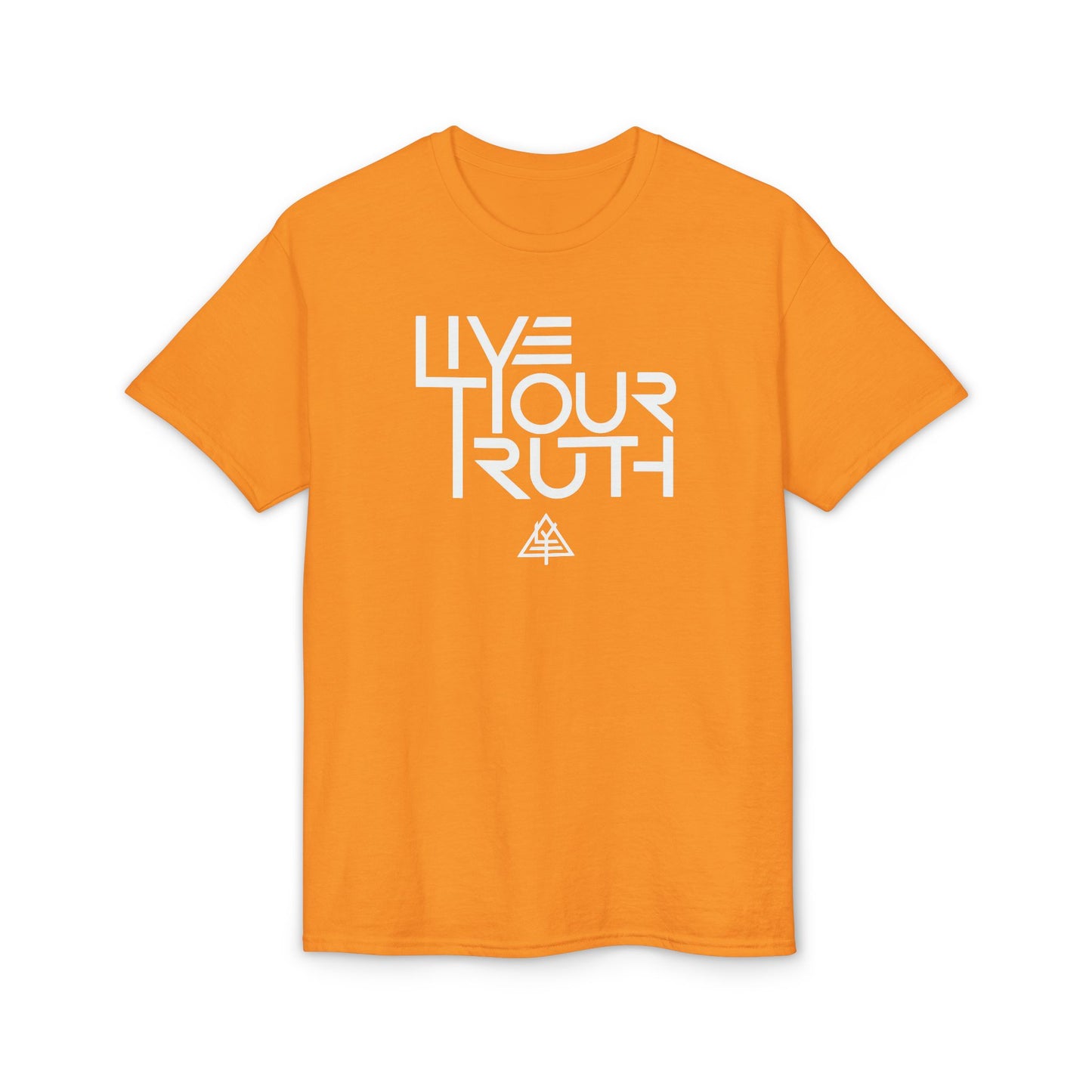 Live Your Truth T-Shirt — Inspirational Graphic Tee