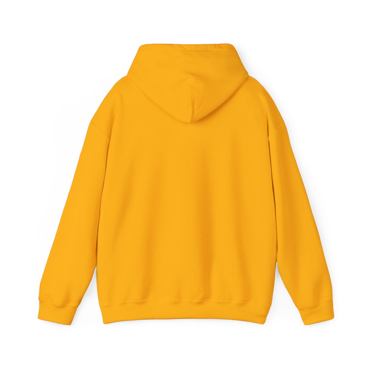 Men's Live Your Truth Hooded Sweatshirt