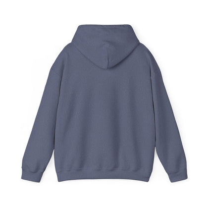 Men's Live Your Truth Hooded Sweatshirt