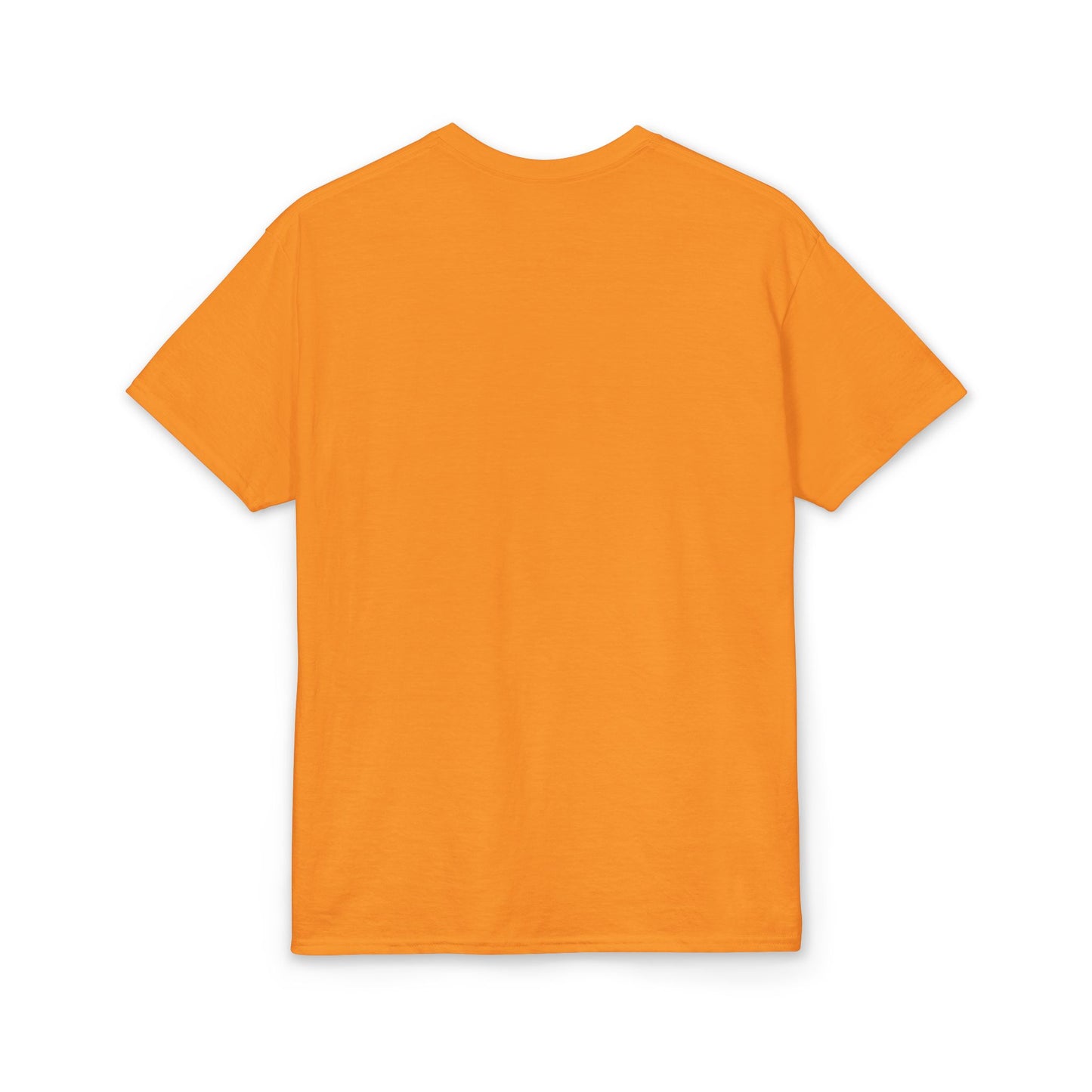 Live Your Truth T-Shirt — Inspirational Graphic Tee